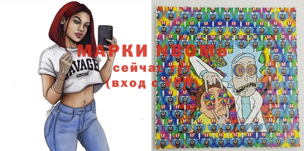 стаф Майский