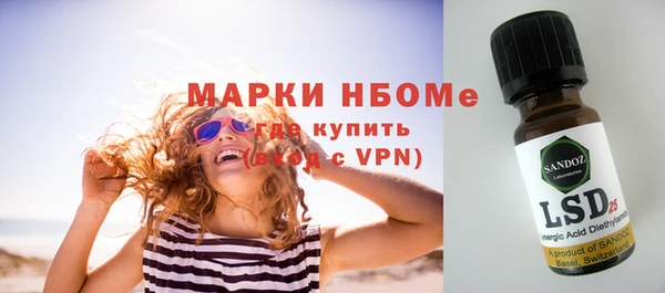 стаф Майский