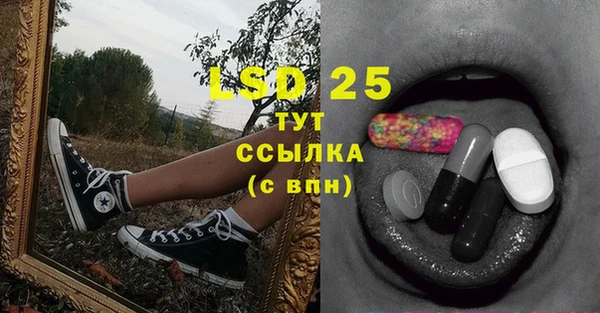 стаф Майский