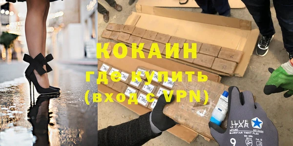 стаф Майский