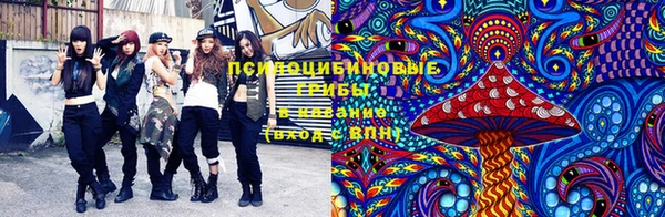 стаф Майский