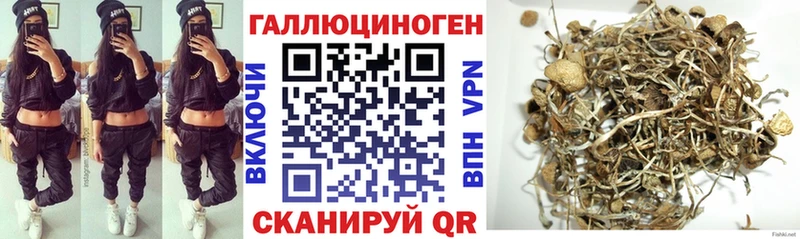 Псилоцибиновые грибы Magic Shrooms  МЕГА рабочий сайт  Гусиноозёрск  дарнет шоп 